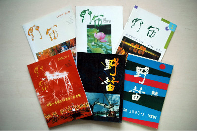 70net���ָߡ�(�й���)���޹�˾����